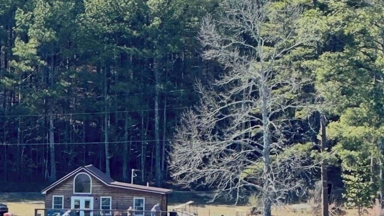 Photo of Others in Tunnel Hill