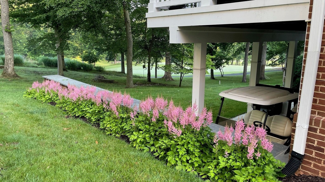 Photo of Outdoor in Lowes Island