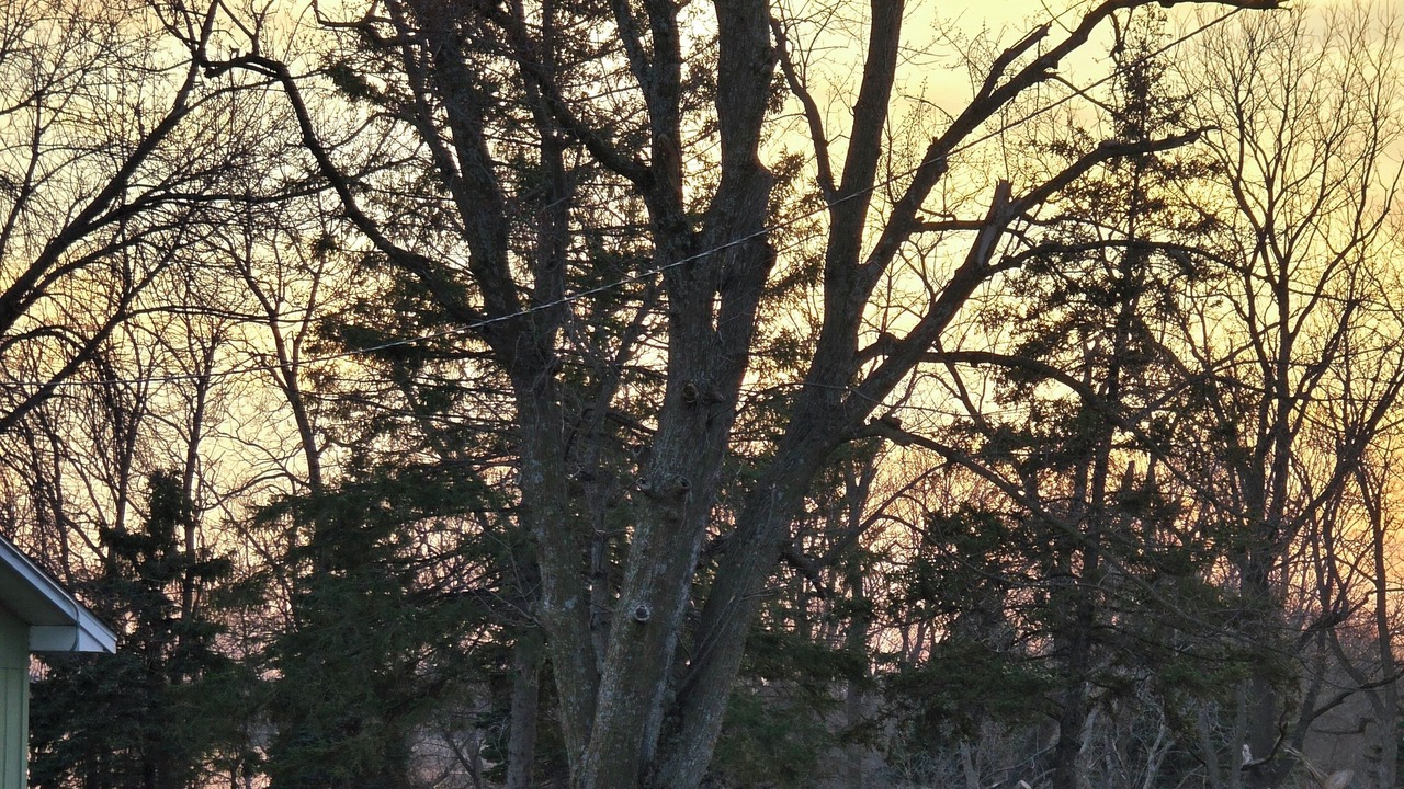 Photo of Others in Ventura