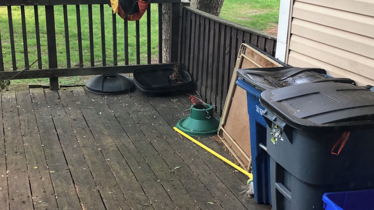 Photo of Outdoor in Aspen Hill