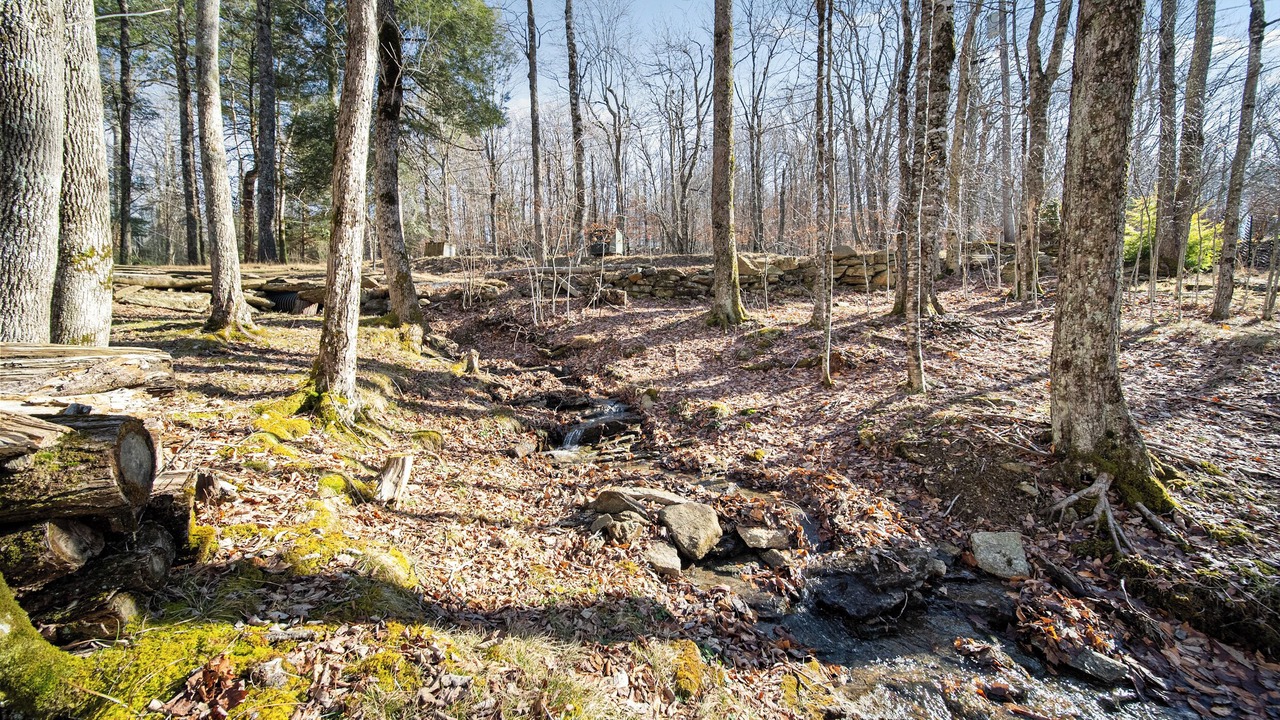 Photo of Others in Charter Hills