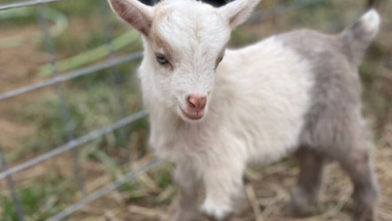 Photo of Others in Madisonville