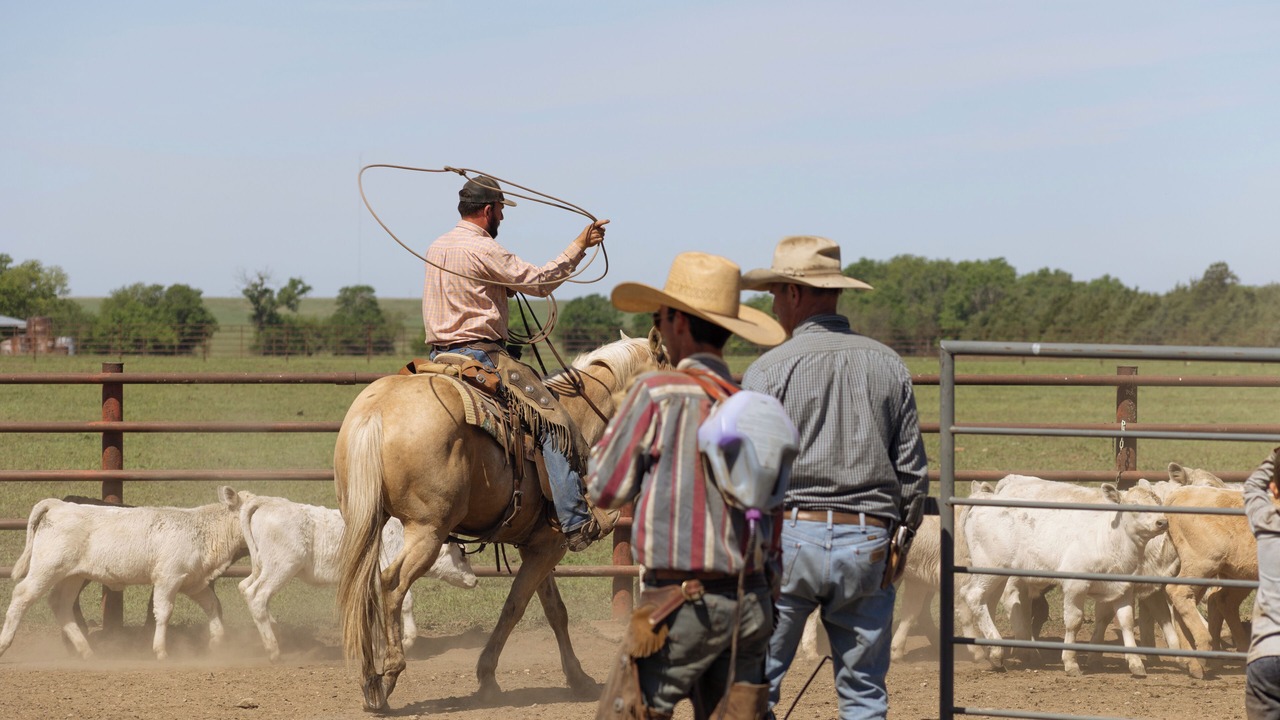 Photo of Others in El Dorado