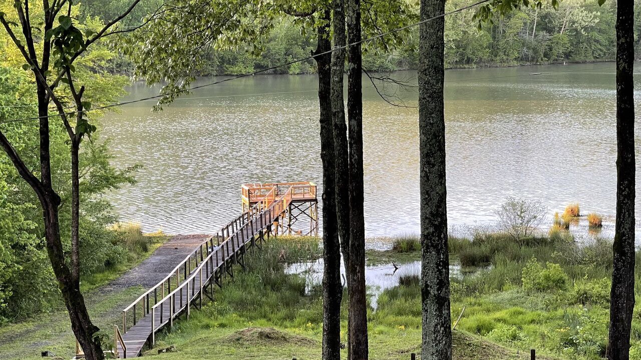 Photo of Others in Cedar Bluff
