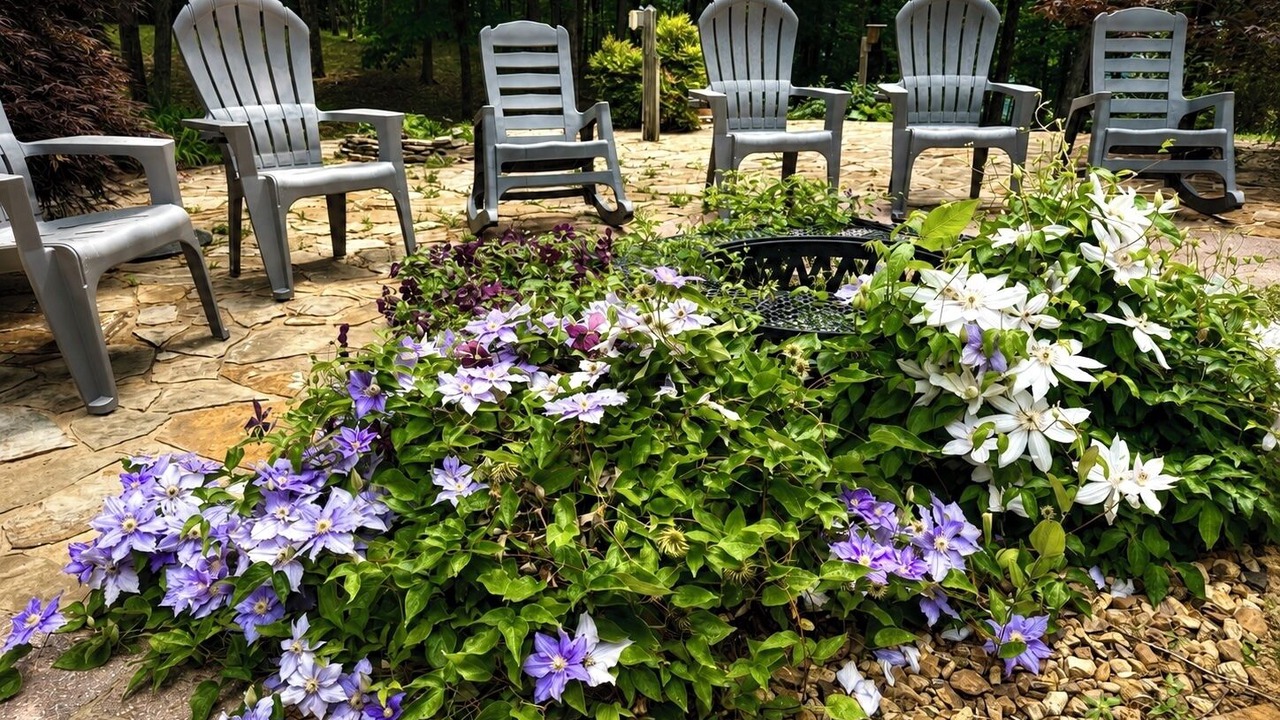 Photo of Patio Balcony in Altamont