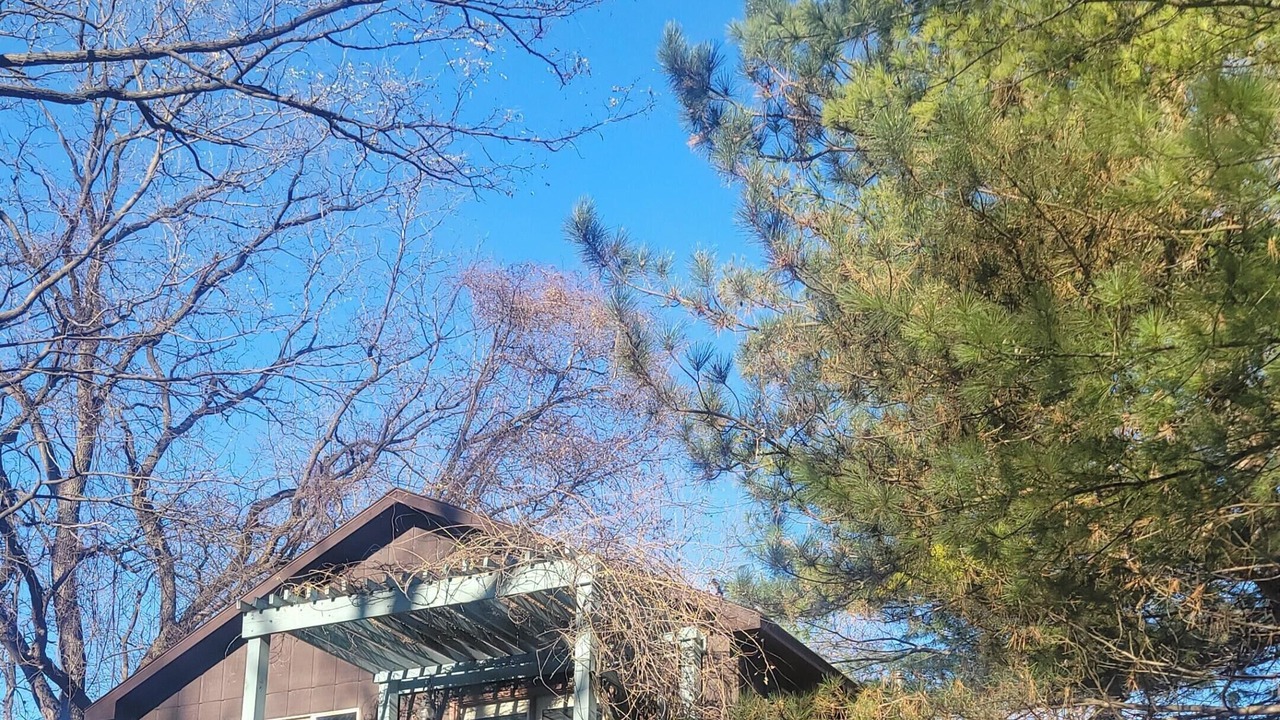 Photo of Outdoor in Savanna