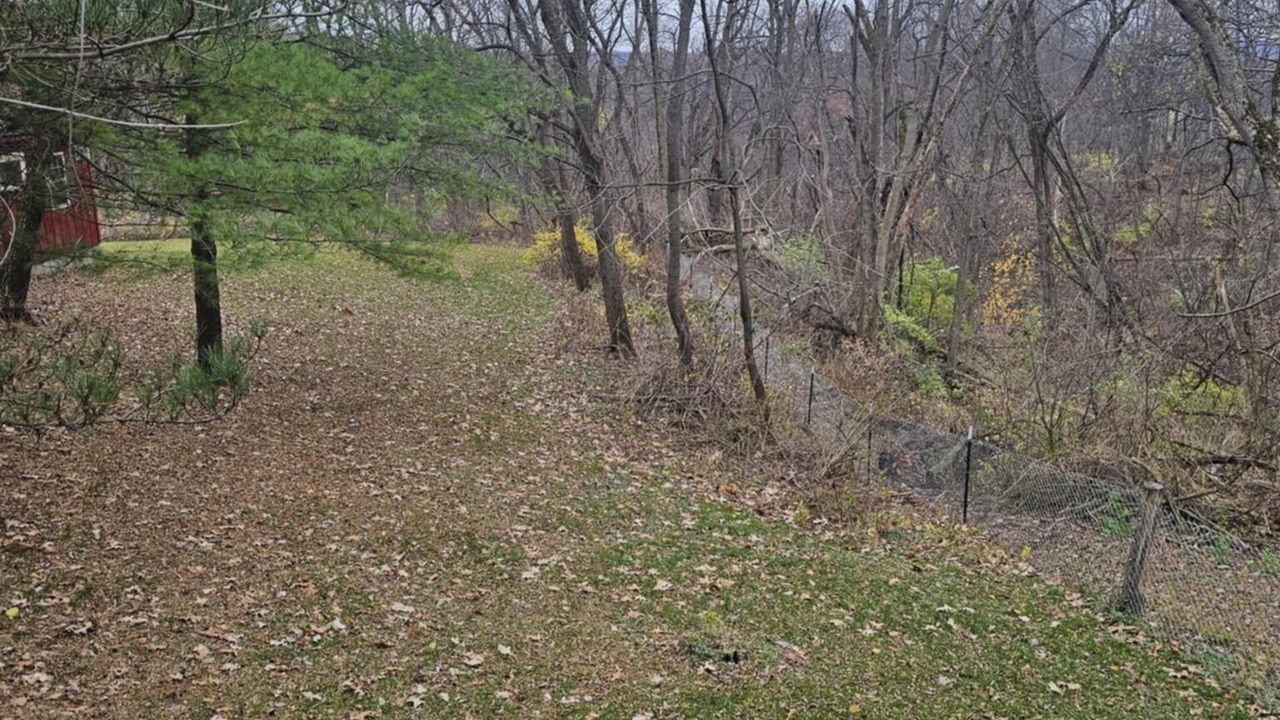 Photo of Outdoor in Savanna
