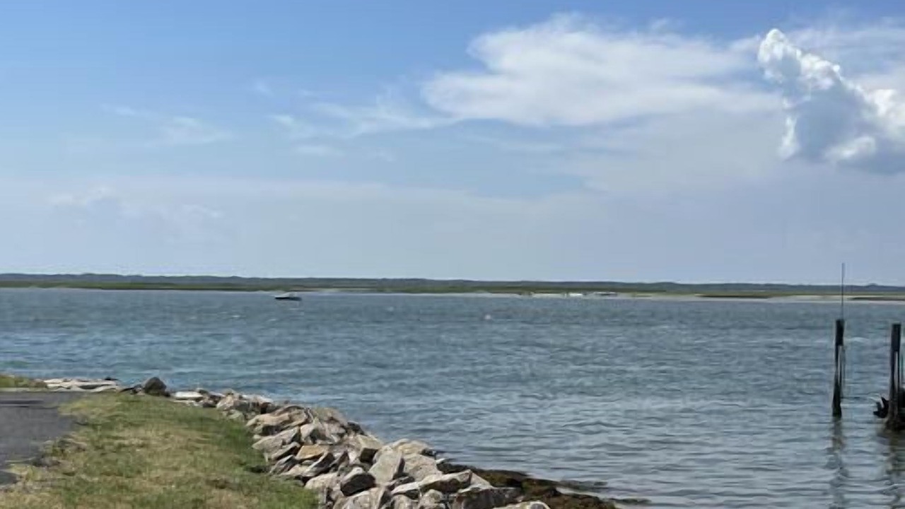 Photo of Others in Townsend's Inlet