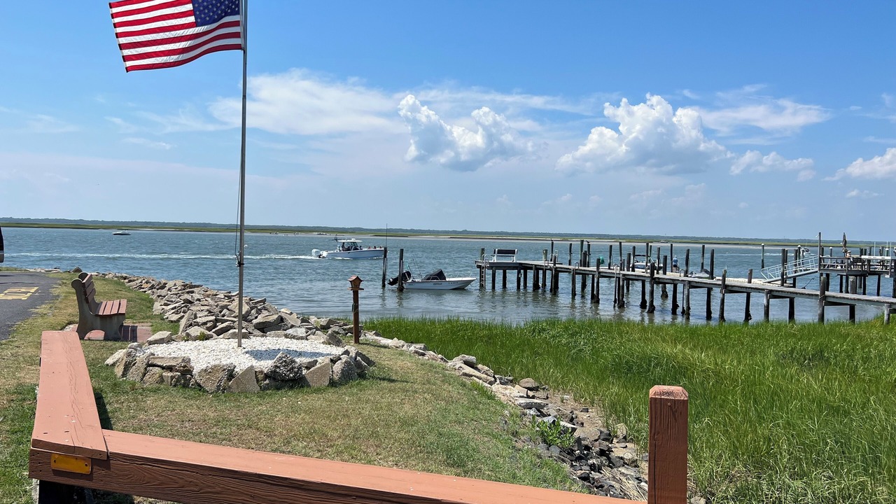 Photo of Others in Townsend's Inlet