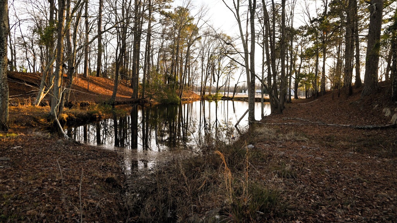 Photo of Others in Lydia