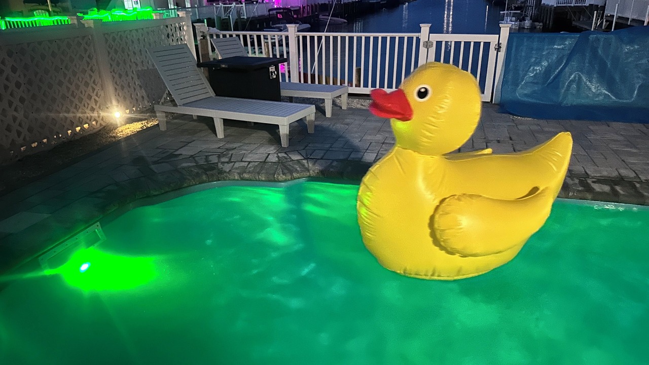 Photo of Outdoor in Beach Haven West