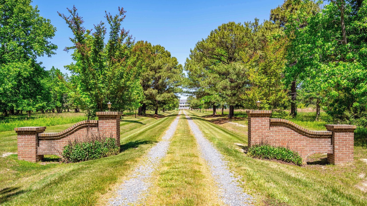 Photo of Outdoor in Cambridge