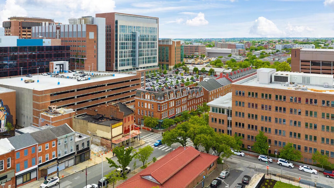 Photo of Others in Downtown Baltimore