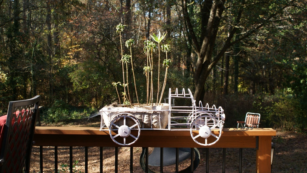 Photo of Outdoor in Woodstock