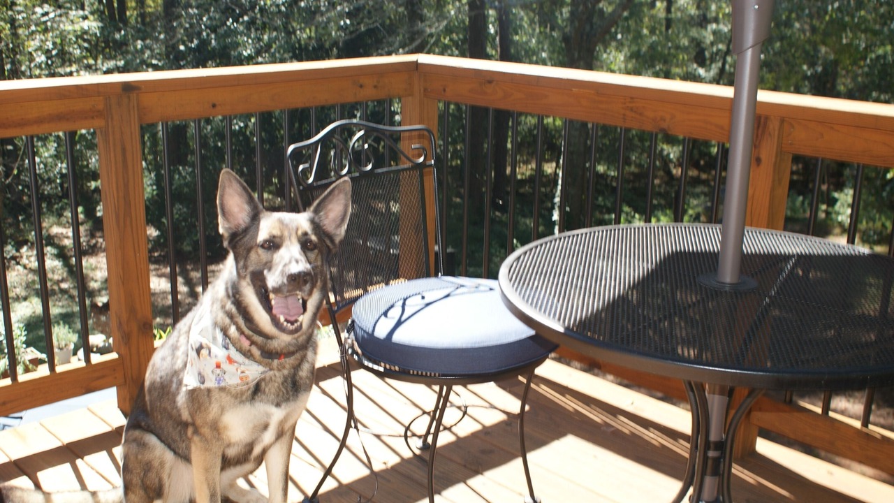 Photo of Outdoor in Woodstock