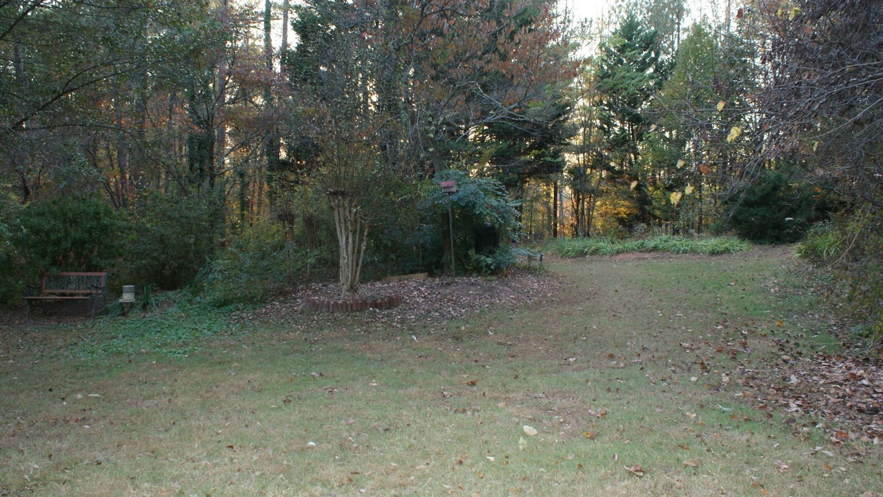 Photo of Outdoor in Woodstock