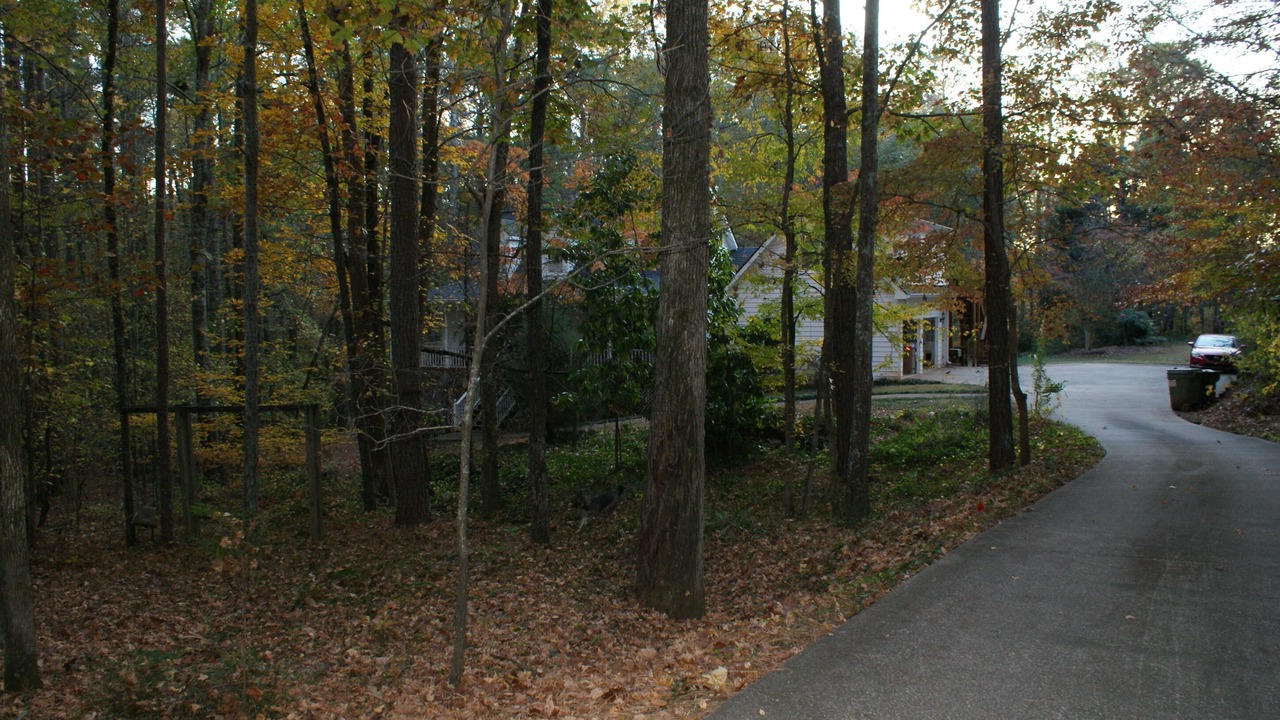 Photo of Outdoor in Woodstock
