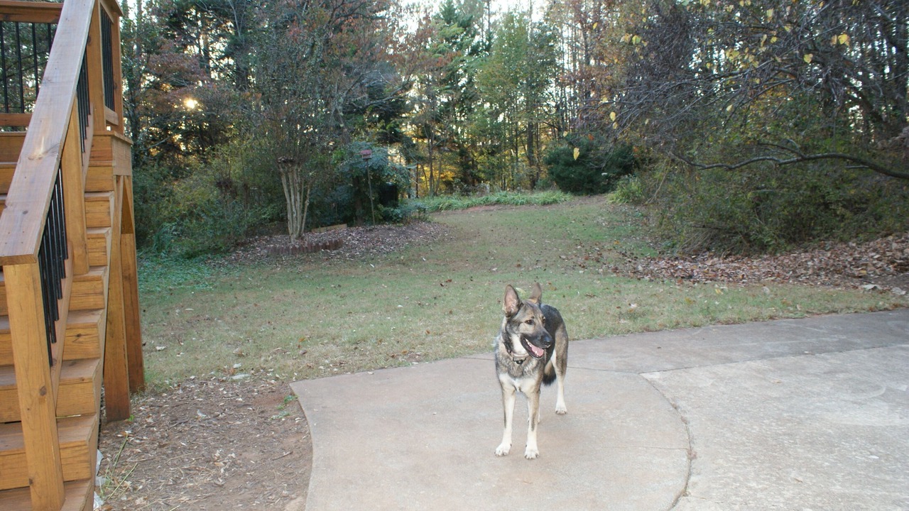 Photo of Outdoor in Woodstock