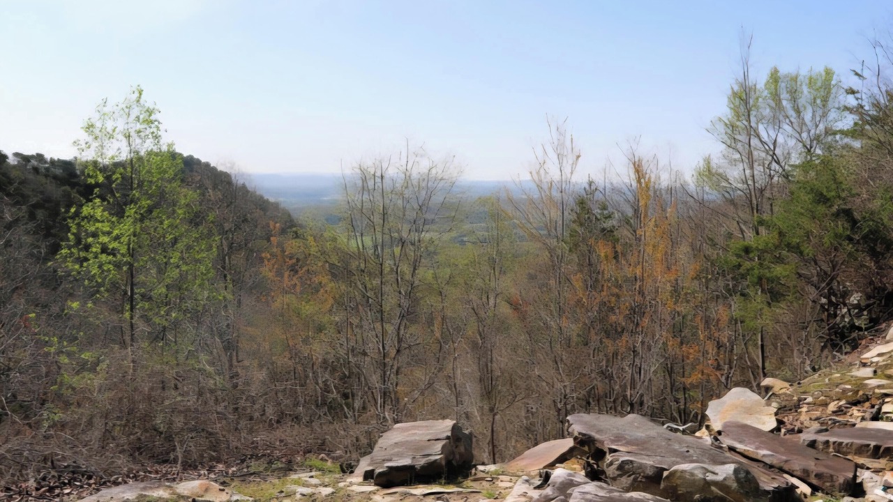 Photo of Others in Cloudland