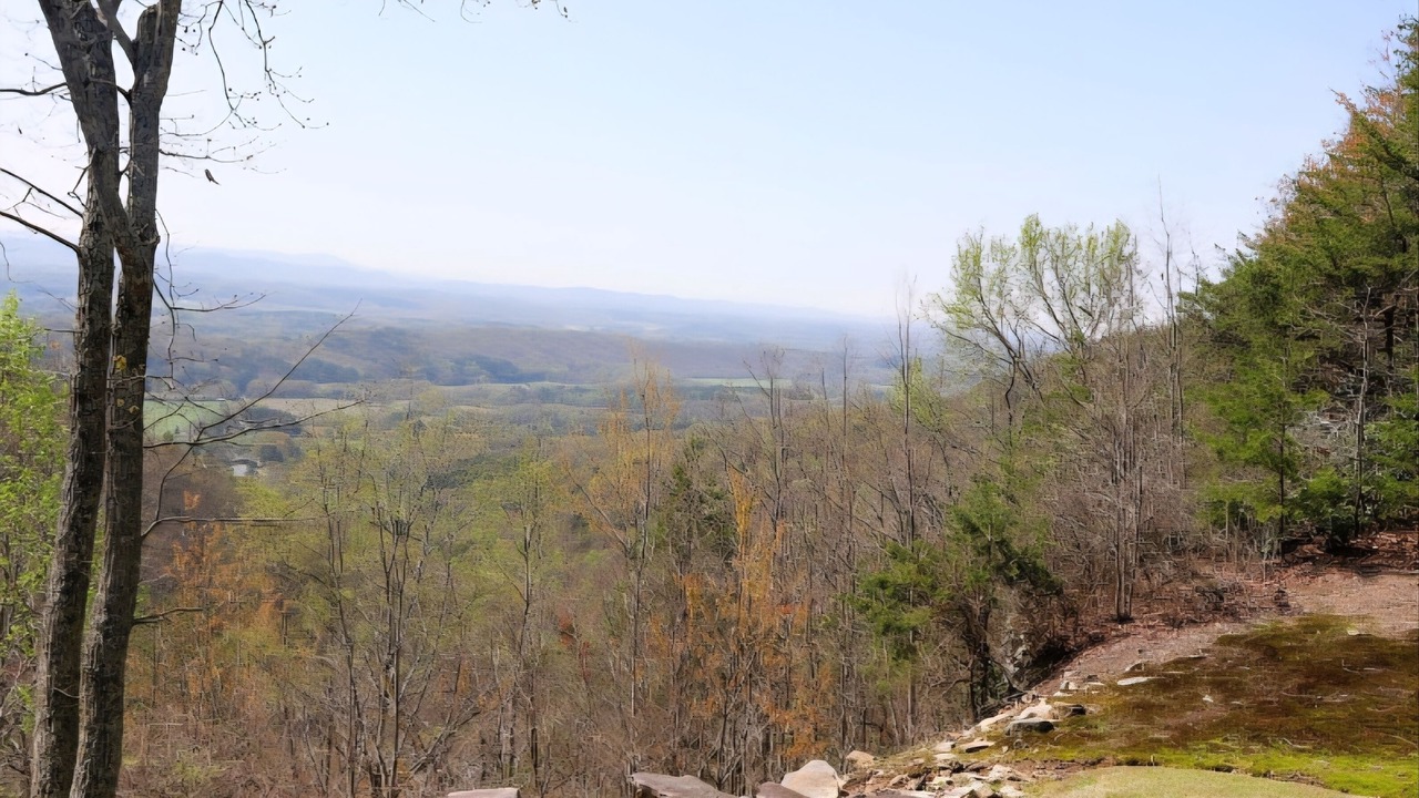 Photo of Others in Cloudland