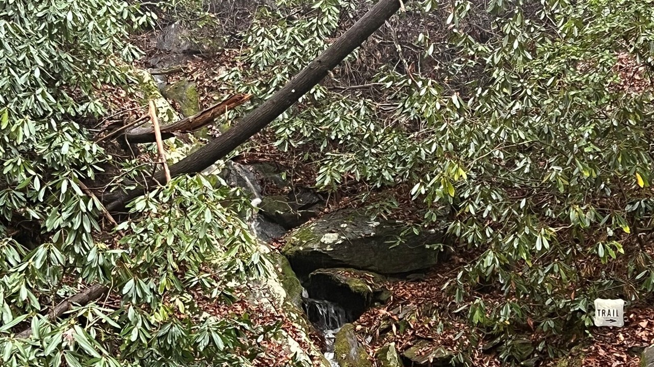 Photo of Others in Deep Gap