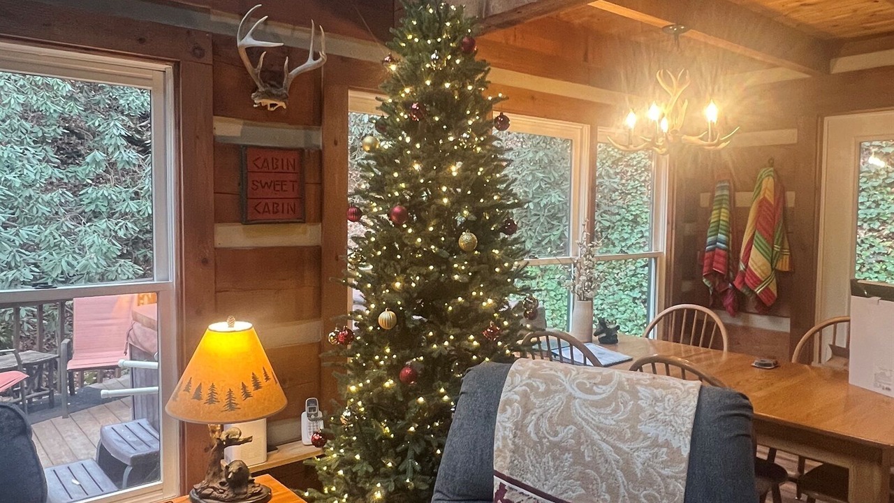 Photo of Bedroom in Deep Gap