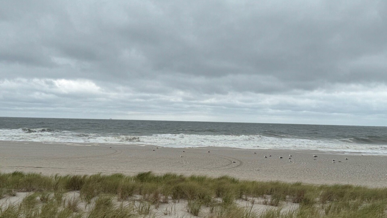 Photo of Others in Ortley Beach