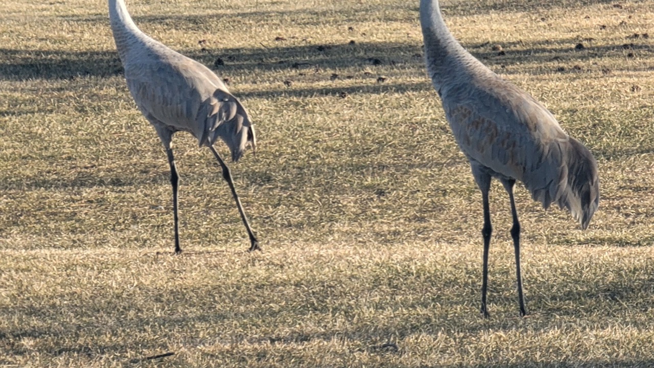 Photo of Others in Oregon