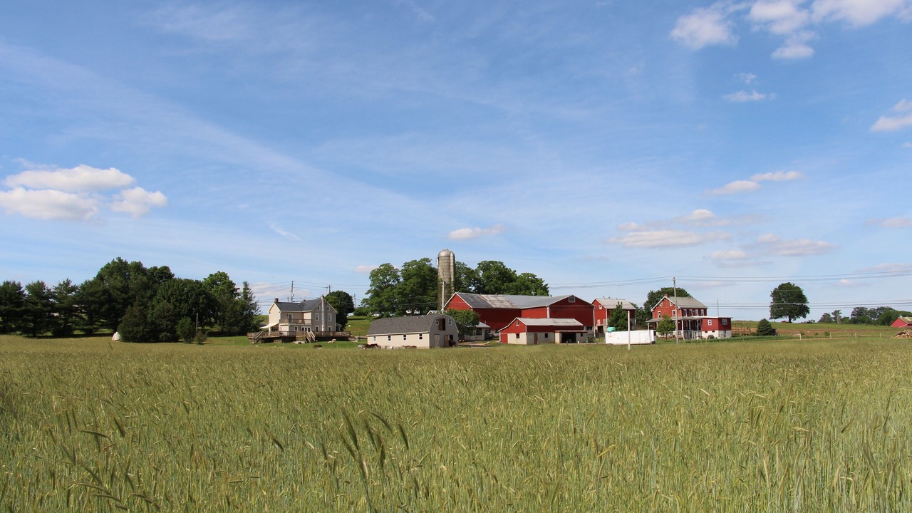 Photo of Others in Quarryville