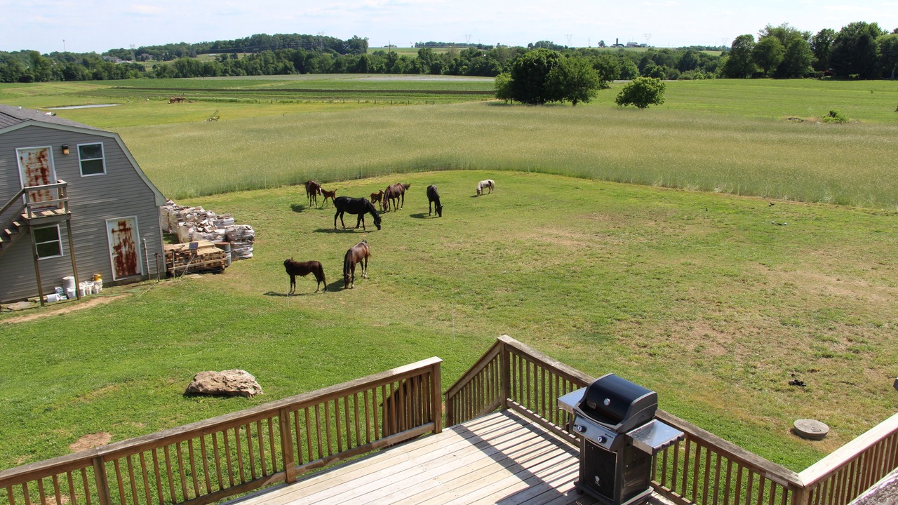 Photo of Outdoor in Quarryville
