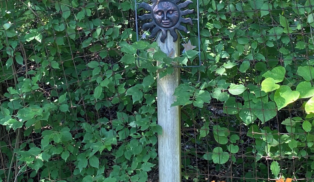 Photo of Outdoor in Sand Springs