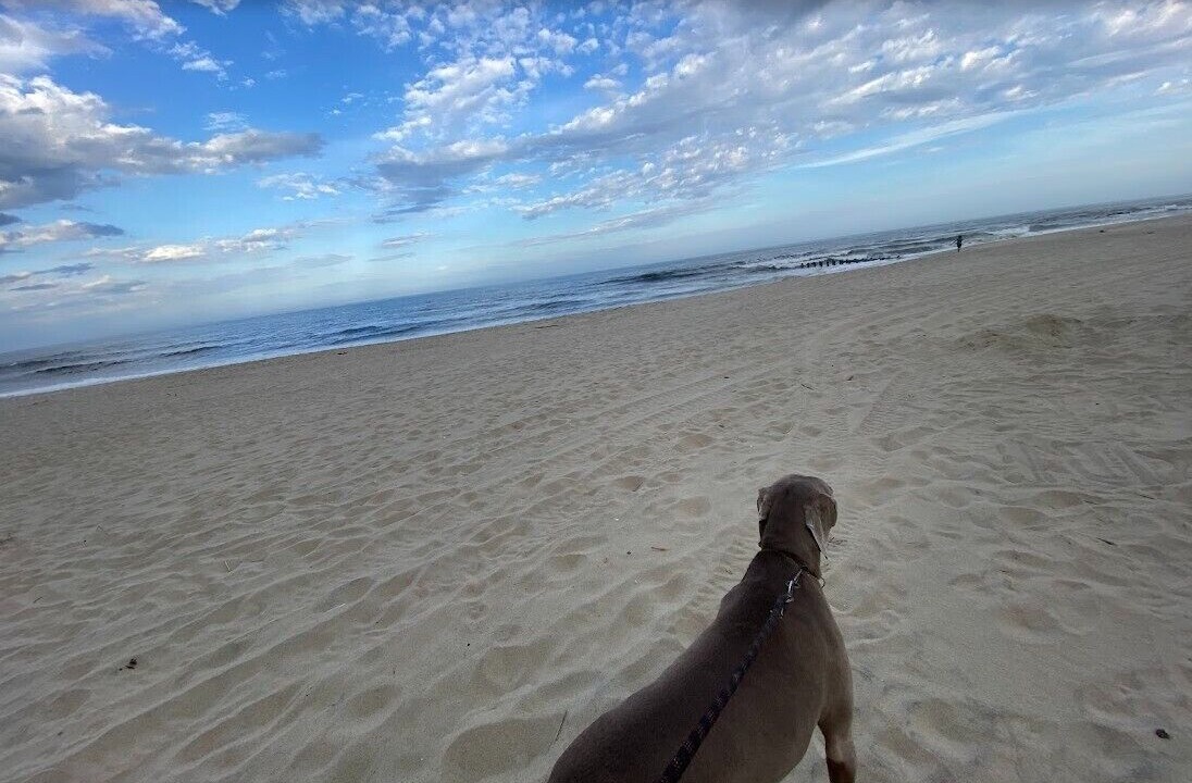Photo of Others in Long Branch
