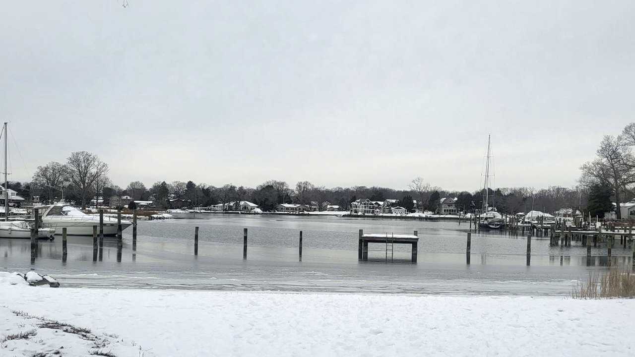 Photo of Others in Edgewater
