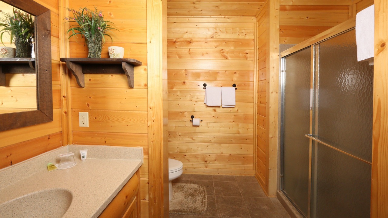 Photo of Bathroom in Sevierville