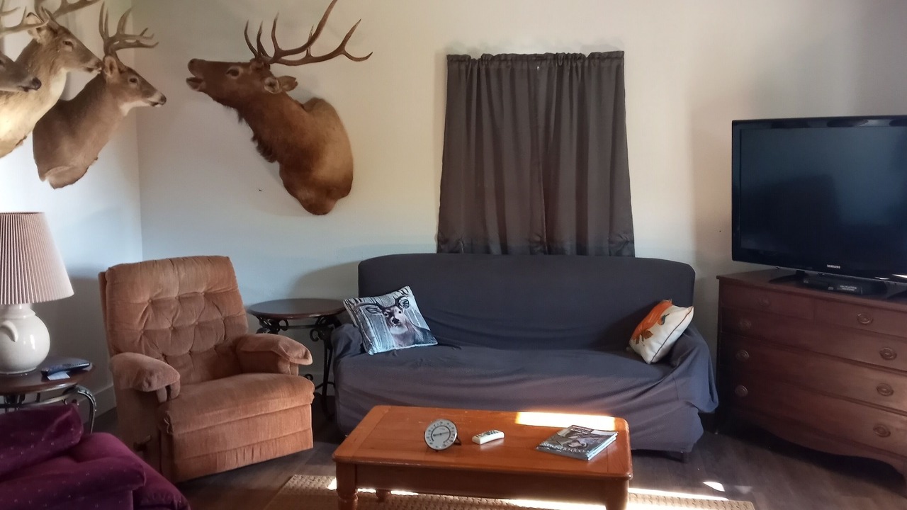 Photo of Livingroom in Moravia