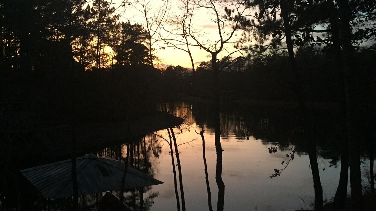 Photo of Others in Wedowee