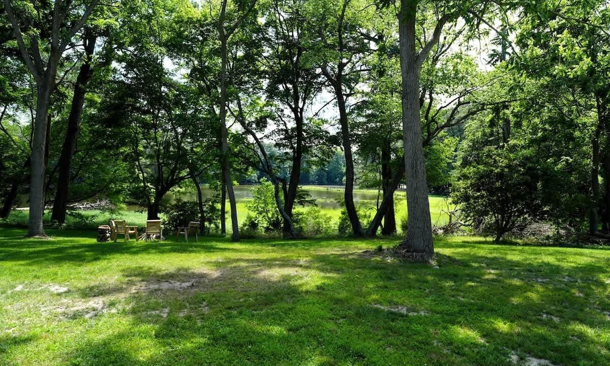 Photo of Others in Locustville
