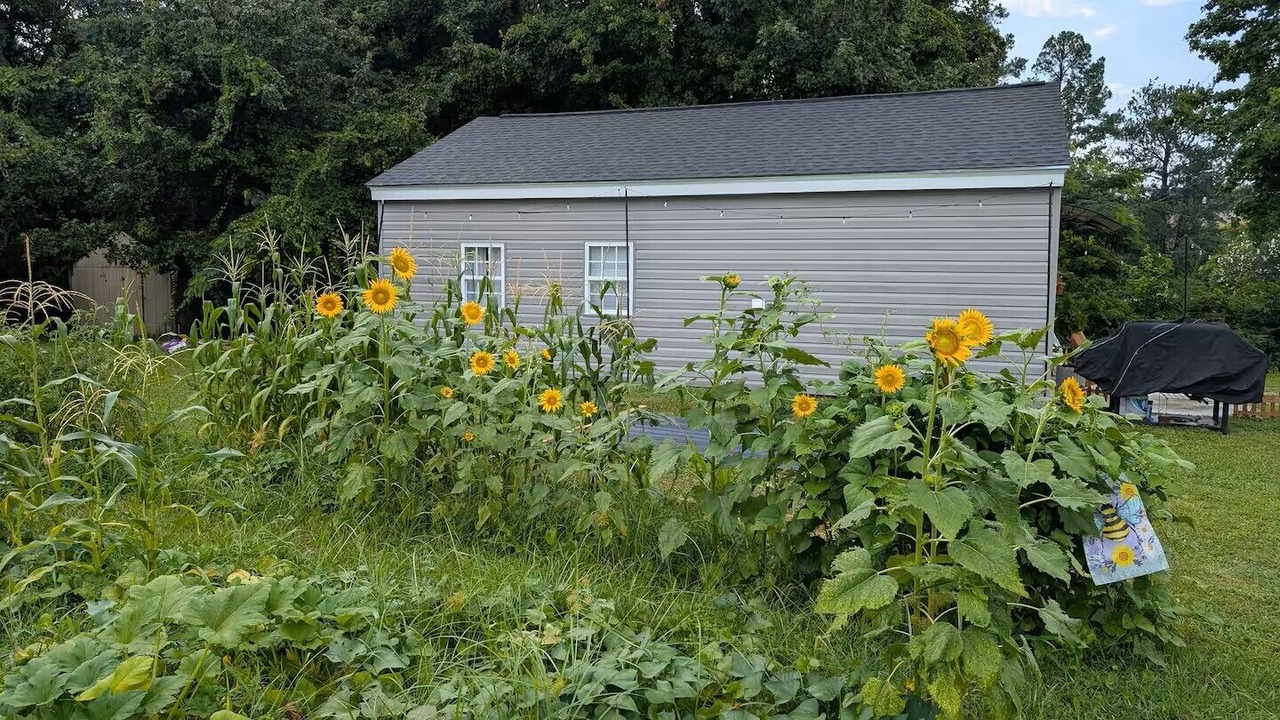 Photo of Outdoor in Elizabeth City