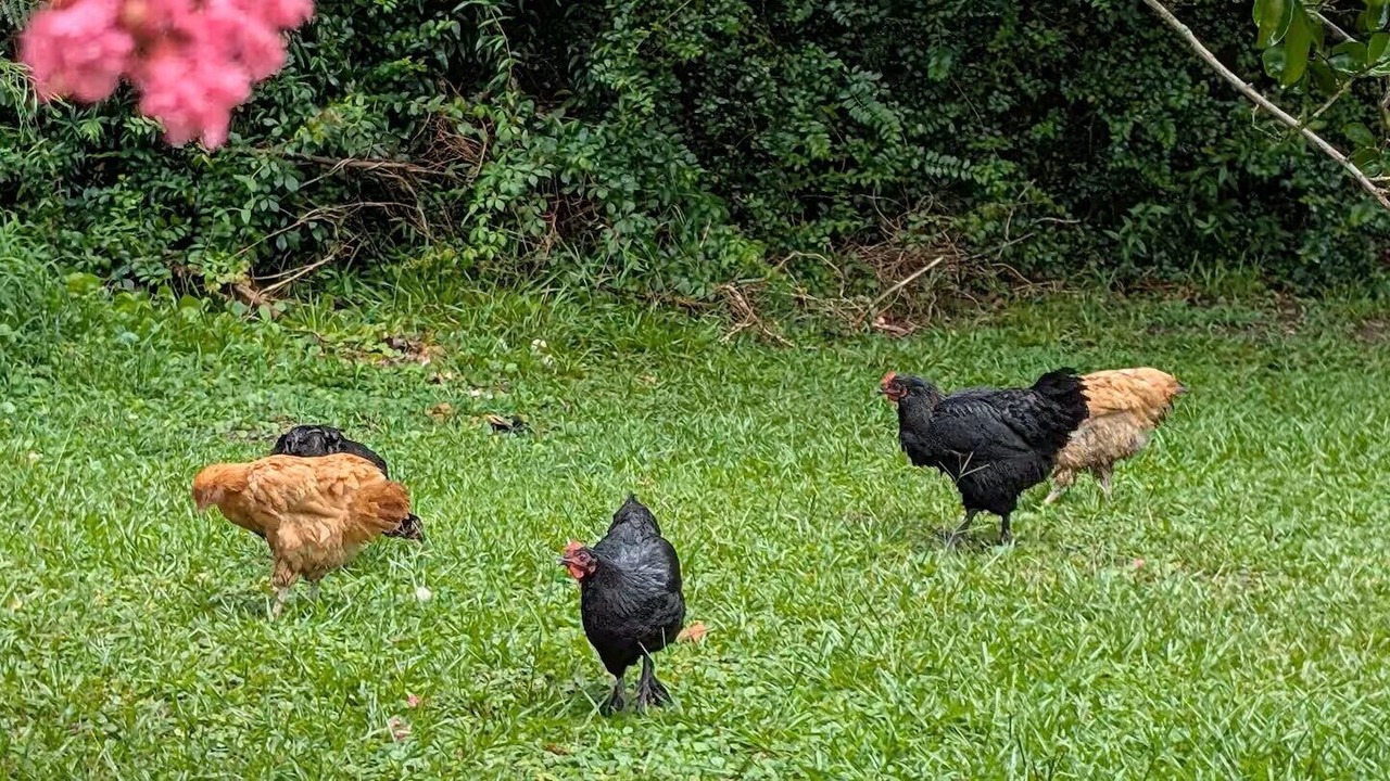 Photo of Others in Elizabeth City