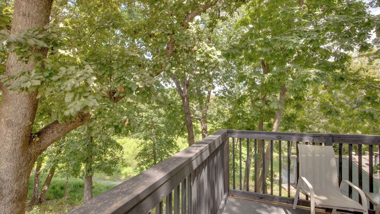 Photo of Outdoor in Lake Lafayette