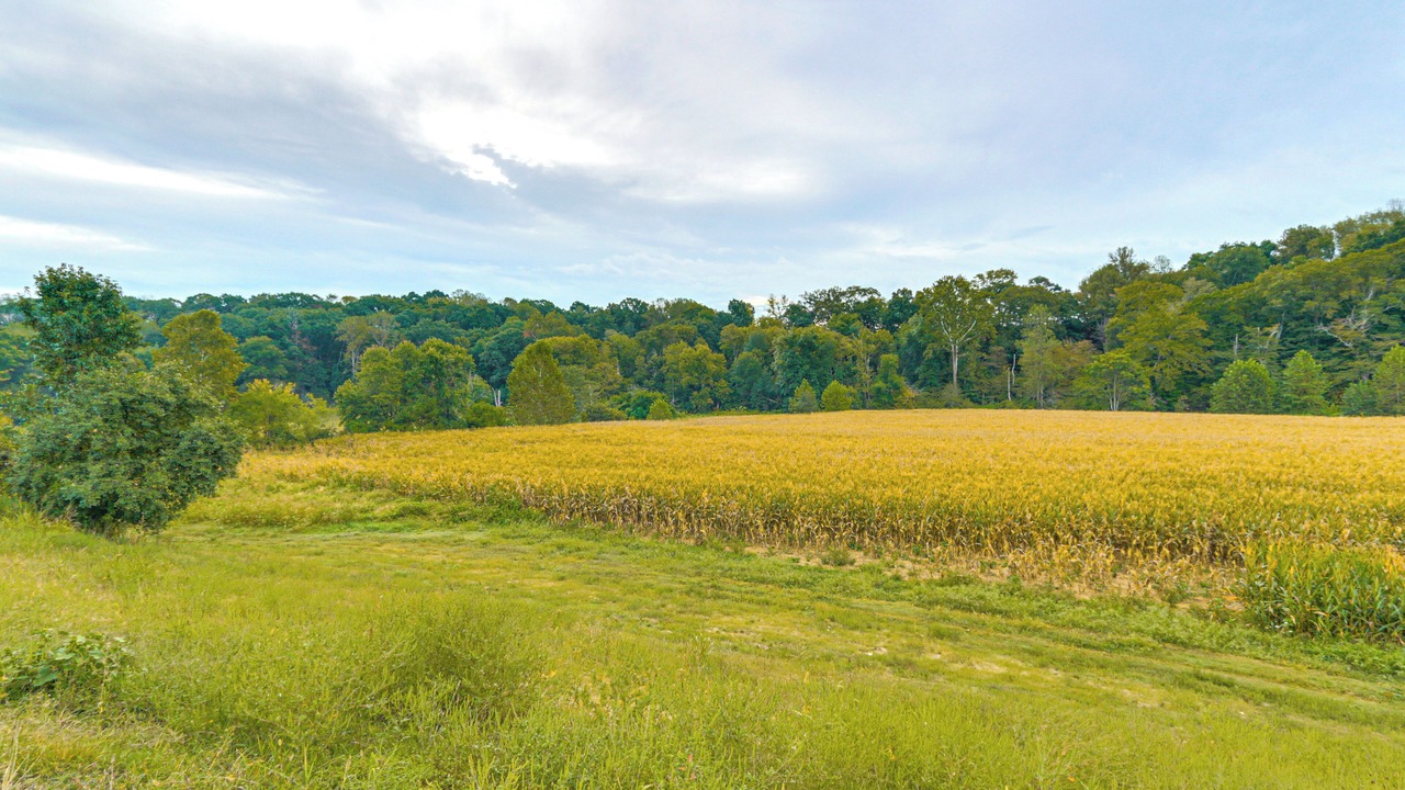 Photo of Others in Middletown