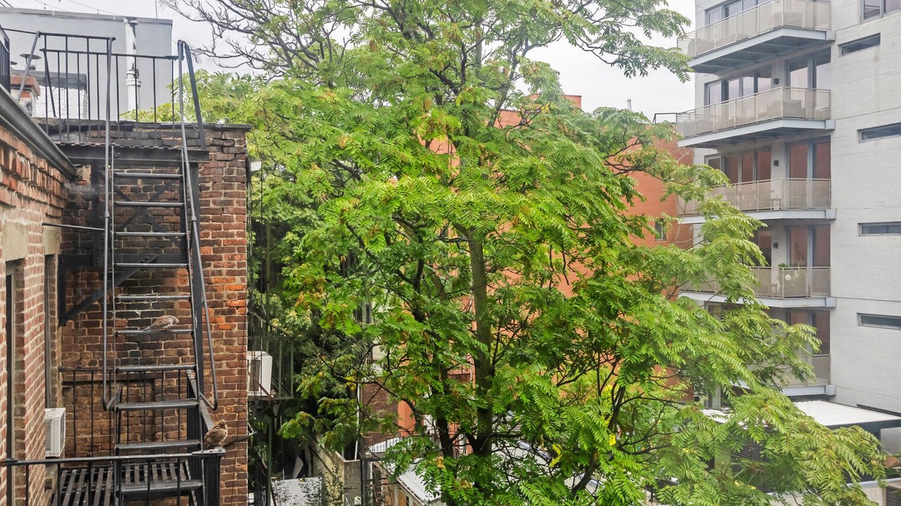 Photo of Others in Nolita