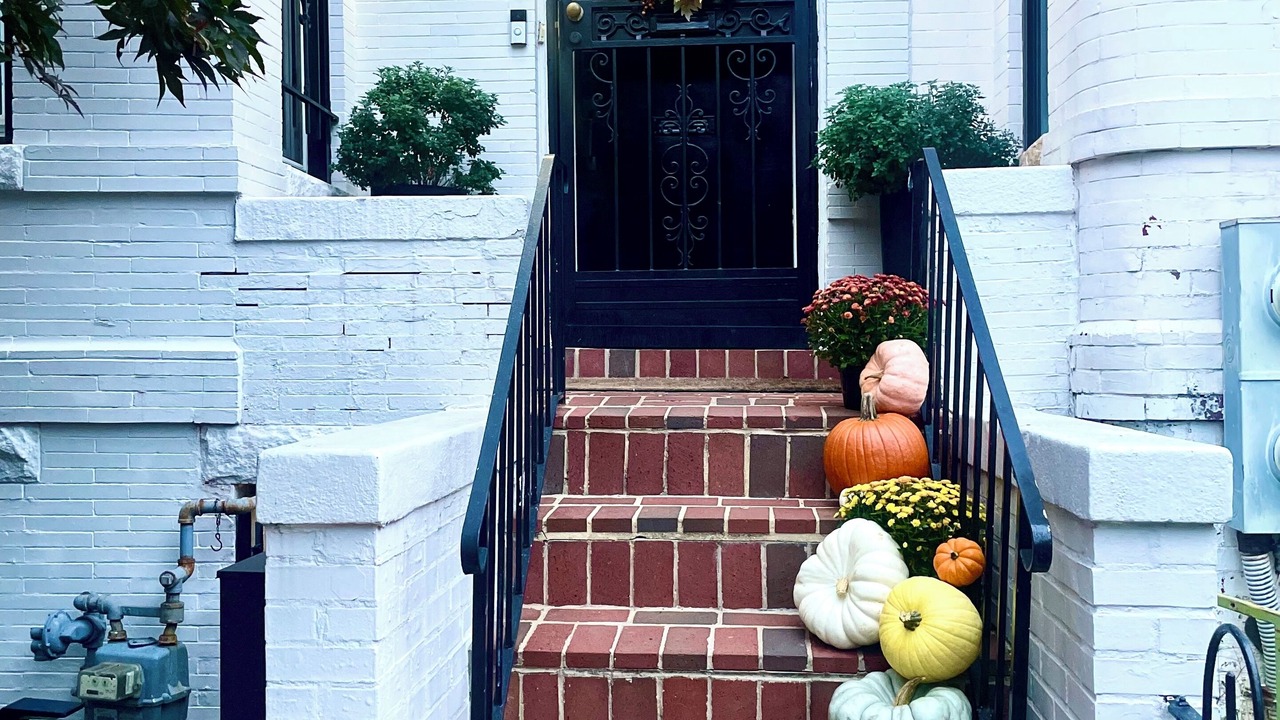 Photo of Outdoor in Truxton Circle