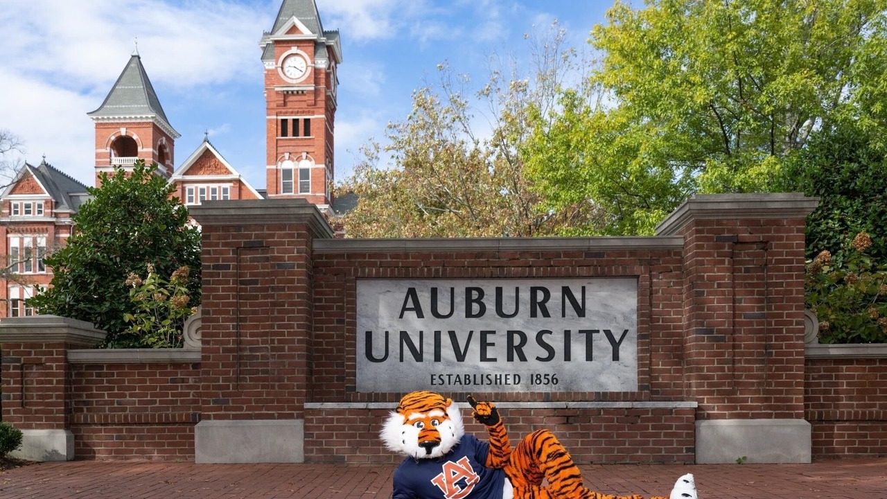 Photo of Others in Auburn