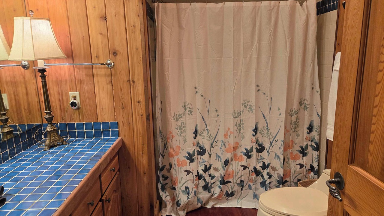 Photo of Bathroom in Alexander City