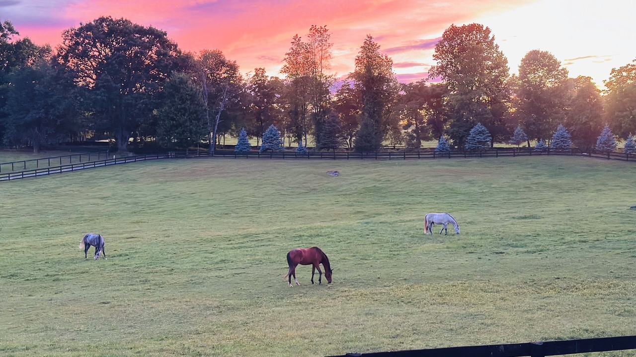 Photo of Others in The Plains