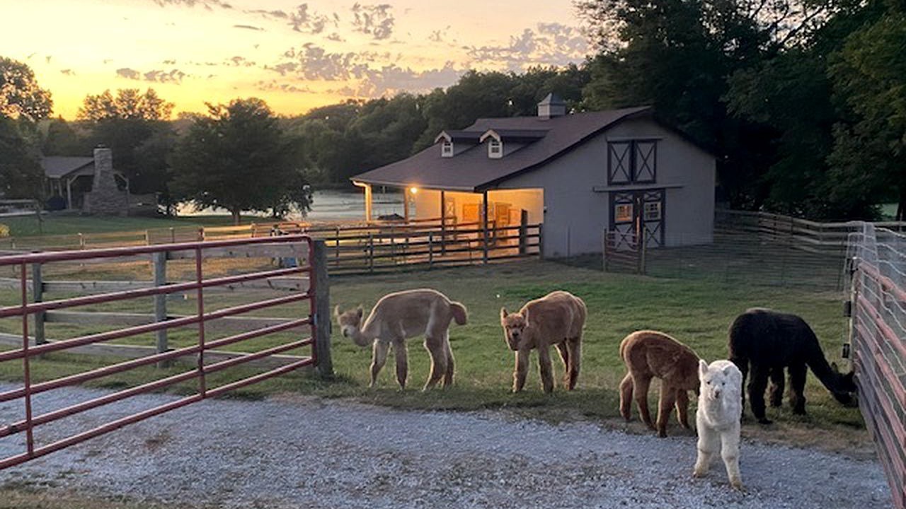 Photo of Outdoor in Glenwood