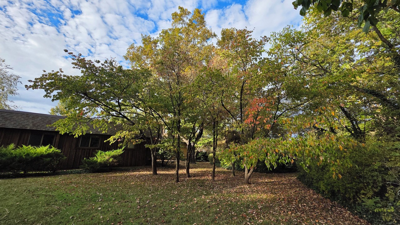 Photo of Outdoor in Alcoa