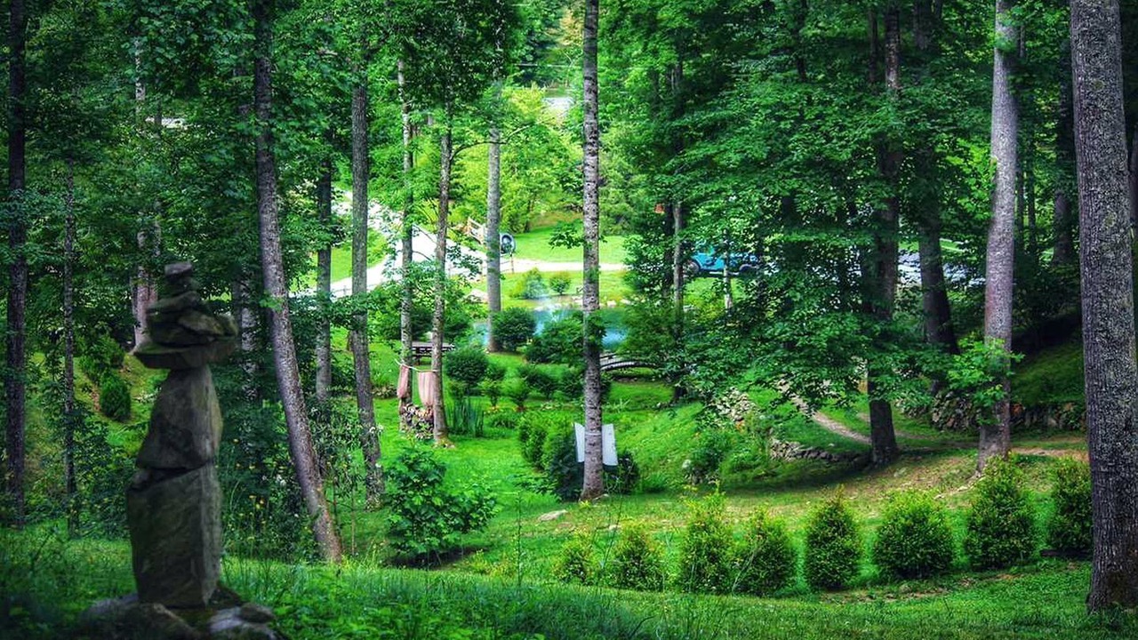 Photo of Outdoor in Sugar Grove