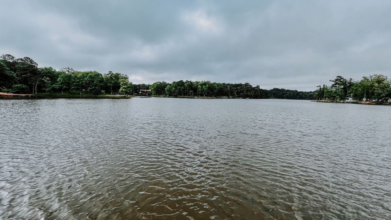 Photo of Others in Coosa